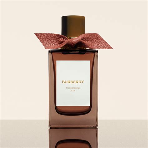 amber heath burberry price|burberry amber heath 100ml.